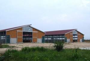 Capannoni prefabbricati per bovini da carne