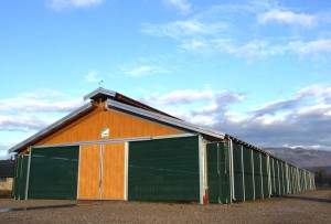 Capannoni prefabbricati per bovini da carne