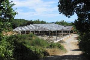 Capannoni prefabbricati uso agricolo