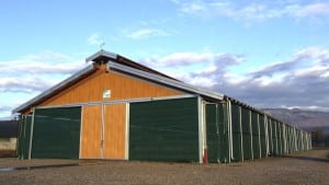 Capannoni prefabbricati in legno lamellare a vicenza