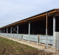 Capannoni-prefabbricati-per-bovini-da-carne-18