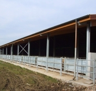 Capannoni-prefabbricati-per-bovini-da-carne-18