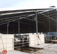 Capannoni-prefabbricati-per-bovini-da-latte-3