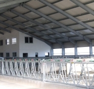 Capannoni-prefabbricati-per-bovini-da-latte-6